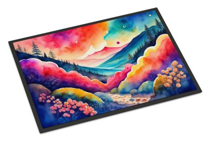 NEW Brunia in Color Doormat Front Door Mat Indoor Outdoor Rugs for Entryway, Non Slip Washable Low Pile, 18H X 27W