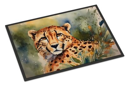 NEW Cheetah Doormat Front Door Mat Indoor Outdoor Rugs for Entryway, Non Slip Washable Low Pile, 18H X 27W