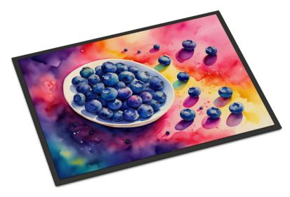 NEW Colorful Blueberries Doormat Front Door Mat Indoor Outdoor Rugs for Entryway, Non Slip Washable Low Pile, 18H X 27W (Default: Default)